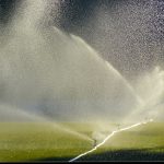 Choosing the Right Lawn Sprinkler System